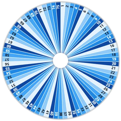 Number Spinner (1-75) Wheel