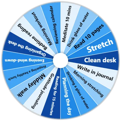 Daily Routine Spinner
