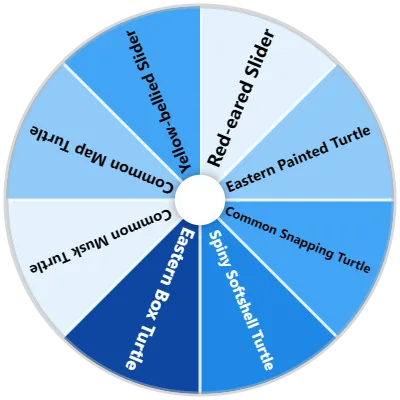 Freshwater Turtle Species Spinner