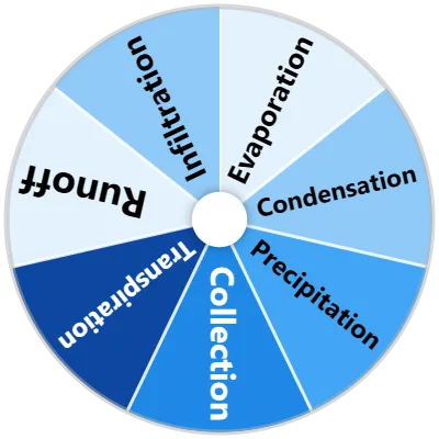 Water Cycle Stages Spinner